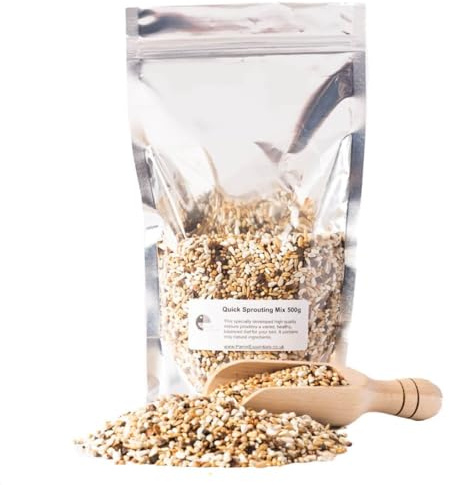 Quick Sprouting Seed Mix for Parrots - Natural Sprouting Mix Highly Nutritious Healthy Bird Feed - 500g