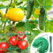 IKSAMY Treillis 2x3m avec Une Grande Maille, Filet à concombres, Treillis pour concombres - Treillis pour Plantes grimpantes - idéal pour Les concombres, tomates, Jardins et serres