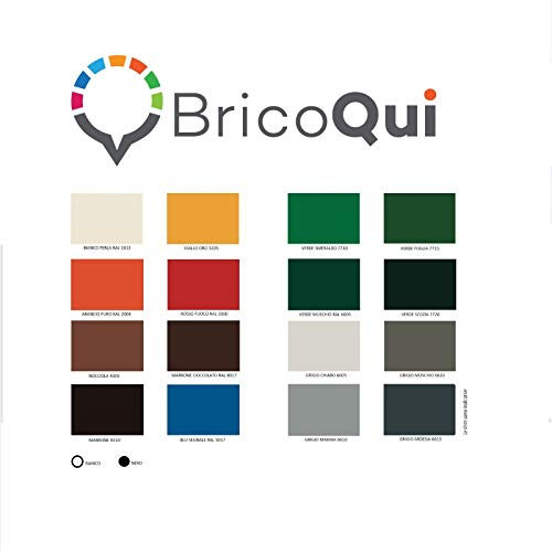 BricoQui Smalto gel antiruggine vernice 750 ml interni esterni legno ferro (VERDE MUSCHIO 6005)