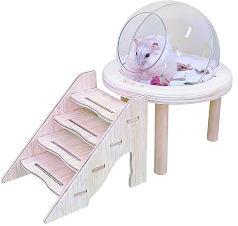 Generico Vasca da Bagno per Criceti Trasparente - in Legno Acrilico, Piattaforma Stabile, Bagno di Sabbia per Piccoli Animali, Scatola per Scavo, Trasparente, Toilette per Roditori, per Gabbia