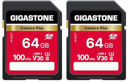 GIGASTONE Tarjeta SD 64GB Pack de 2, UHS-I U3 Clase 10 SDXC, hasta 100MB/s, para Cámara Canon y Cámaras Digitales, Grabación Full HD, Incluye 2 Estuches Mini