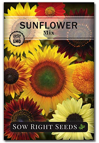 Sow Right Seeds - Mixed Sunflower Seed for Planting Annual Flower Garden