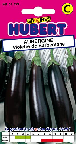 Graines d'Aubergine Violette de Barbentane - 0,5 grammes