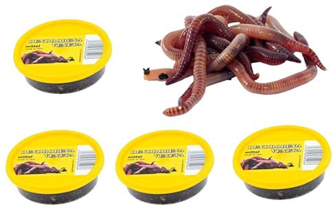 Dendrobena Regenwurm Rotwurm Würmer mittleregröße ca. 100 Stück 4 Dose Lebendfutter, Angelköder, Haustierfutter, Reptilienfutter