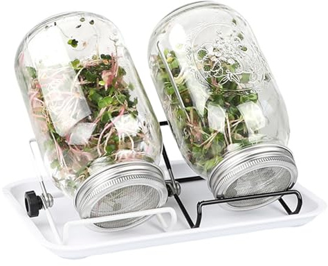Double.S Sprossenglas 2 Stück, kresse anzuchtschalen 750ml keimglas für sprossen sprossen anzuchtset mit hochwertigem 304 Edelstahl-Gitterdeckel, Ständer, Keramikschale