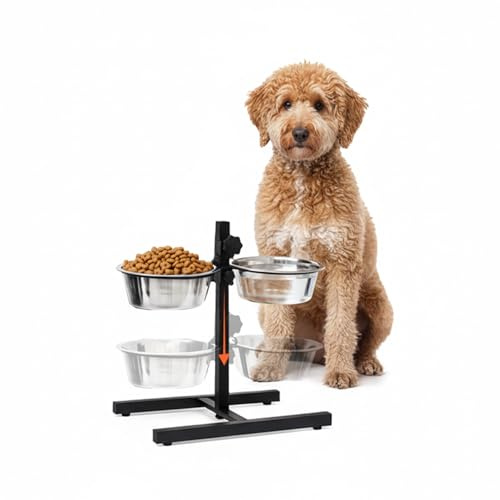 Avilia Ciotole per Cani Rialzate Avilia Regolabile 10–45 cm – Porta Ciotole per Cani Rialzato con 2 Ciotole Acciaio Inox 1L, Supporto Ciotole Cane Antiscivolo Ferro, Ciotole per Gatti