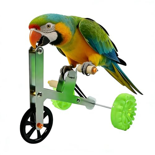 Juguetes para Aves | Truco de Bicicleta para Mesa - Juguetes Interactivos Para Aves | Para Conuros, Guacamayos, Loros Gris Africano, Cacatúas, Cacatúas Ninfa, Entrenamiento de Inteligencia para Mascot