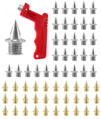 Lot de 100 pointes d'athlétisme en acier de 6 mm avec clé, argent et or