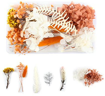 Tomedeks Fleurs Séchées Fleur Bouquet Fleurs Sechees Naturel Fleurs Seches Decoratif Bouquet Fleurs séchées naturelles séchées en relief DIY Fleurs préservées Décoration florale（C）
