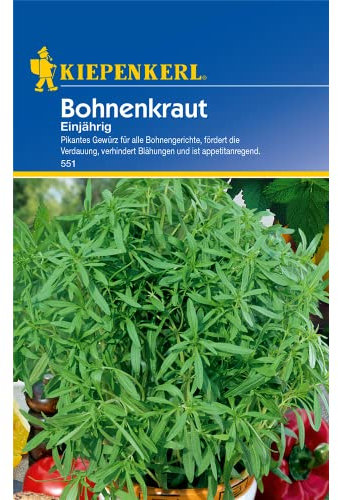 Sperli Gemüsesamen Bohnenkraut einjährig, grün