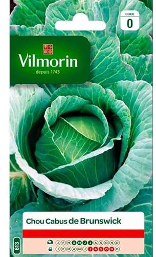 Vilmorin - Sachet graines Chou Pommé de Brunswick