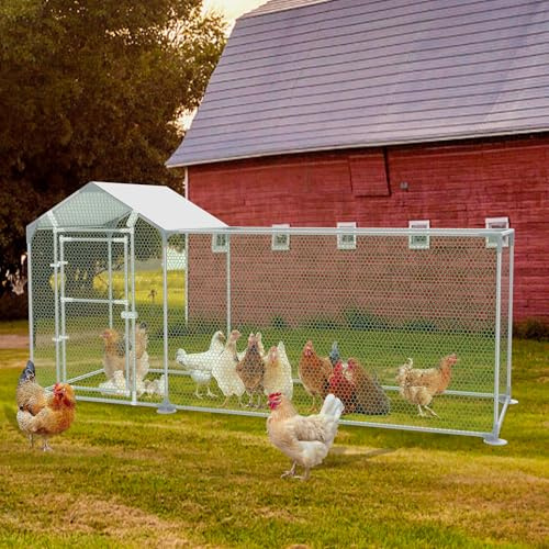 UISEBRT Recinzione libera pollaio, telaio in acciaio zincato, per polli e piccoli animali, 3 x 1 x 1,5 m