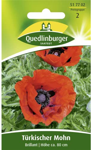 Türkischer Mohn, Brillant