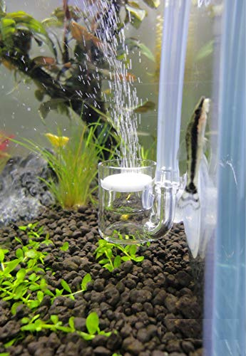 Pollen Glass CO2 Diffuser for Aquarium Planted Tank (3/4 for Below 20 US gallons)