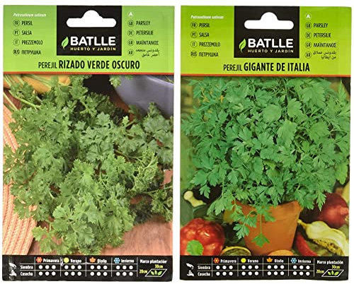 Perejil RIZADO VERDE OSCURO & Perejil GIGANTE DE ITALIA
