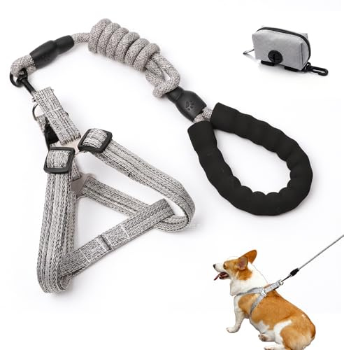 Hands Free Dog Lead, Dog Running Lead, Over-The-Shoulder, 2-Meter Adjustable Dog Leash, 2-In-1 Over-The-Shoulder Dog Leashs, Includes A Potty Bag, Suitable for Dogs Weighing 7.5–15 KG