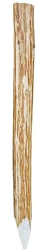 World PLANTIL Estaca de avellano para Vallas de Jardín/Ideales para Vallas, empalizadas, delimitación de Jardines y más (180 X 7/12 CM)