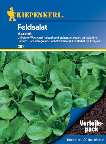 Kiepenkerl Feldsalatsamen Accent, Vorteilspack, 291 - Sehr ertragreich - schnellwachsend - Herbst bis Frühjahr - für 20 laufende Meter - Saatgut