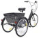 Brride 8-Gang Dreirad für Erwachsene 24 Zoll Mit Faltbarem Korb, Dreirad Fahrrad für Sport Outdoor Stadt, Strand und Straße, lastenfahrrad Dreirad für Erwachsene