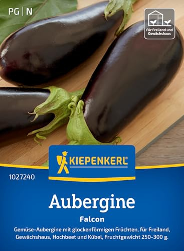 Kiepenkerl Auberginensamen Falcon 1027240 - Gemüse- Aubergine - glockenförmige Früchte - Freiland und Gewächshaus - Saatgut, Samen Gemüse, Pflanzensamen