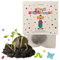 Ideenverlag HAMBURG 10x Clown Samenbomben Kindergeburtstag Clown Mitgebsel Clowngeburtstag Geschenke Saatbomben Kinder Kleinigkeiten Karneval
