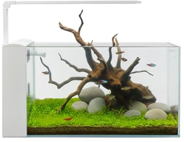 Aqpet Acquario Completo Aqua Rear in Vetro Extrachiaro con Filtro Integrato e Luce LED – Vasca 60x30x30 cm, Design Moderno, Ideale per Acquari d’Acqua Dolce colore Bianco