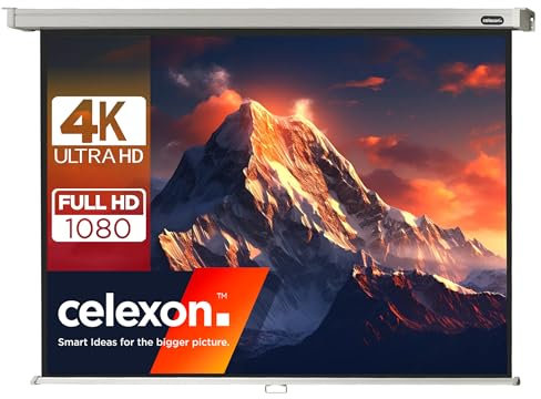 celexon Professional Rollo-Leinwand 140 | 300x225 cm 4:3 | manuell ausziehbare 4K, Full-HD Beamer-Leinwand für das Büro oder Heimkino-Projektionen | Wand- & Deckenmontage/zum Aufhängen