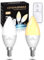 Lamptobe E14 LED Warmweiss mit Fernbedienung, Nachtlicht Warmlicht 3000K 4W (Ersetzt 40W) C37 Kerzenleuchten Glühbirne E14 2 Modi für Schlafzimmer, Babyzimmerlicht, Tischlampe(Nicht Dimmbar, 2 Stück