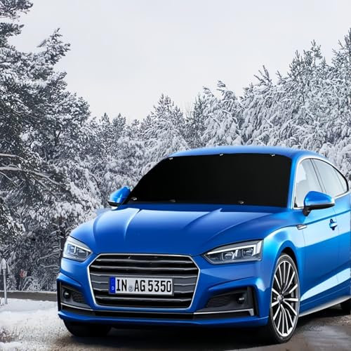 Caitang Copertura per Parabrezza per Auto, 6 Magneti Copri Parabrezza per Auto, Protezione parabrezza Antighiaccio, Adatto la Maggior Parte Dei Veicoli, Ripiegabile, 210x125cm