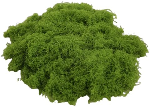50g Musgo Decorativo Preservado, Hoja de Musgo Reutilizable, Musgo Preservado, Decorativo para Manualidades, Musgo para Manualidades para Decoración