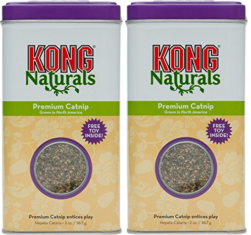 Kong Premium Catnip 4 oz 2 x 2 oz Tubs