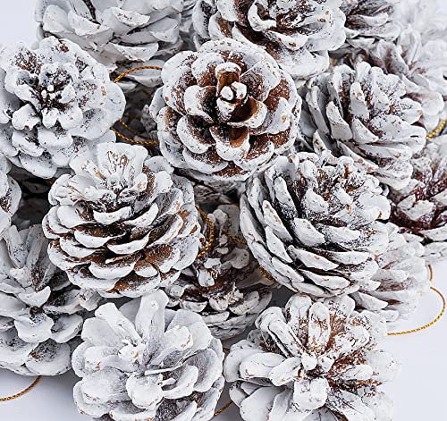 Anstore 42 Pezzi Pigne in Bianco, 4-6 cm Naturale Pigne Natalizie Decorative, Pigne Naturali Con Corda,Pigne Ornamento Pino Cono Decorazione,per Regalo Ghirlande,Albero di Natale Decorazione(Bianco)
