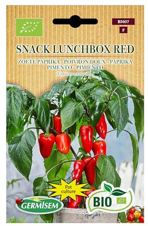 Poivron doux Snack Lunchbox Red