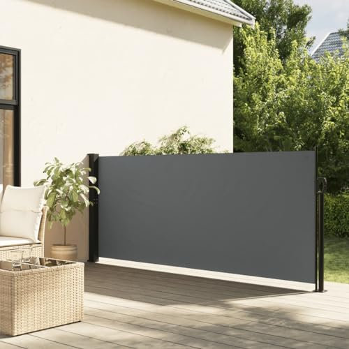 Tidyard Auvent latéral rétractable Anthracite 100x300 cm Protection de l'intimité et Vent, Paravent Store latéral, Abri Solaire Extensible Brise Vue pour Extérieur, Balcon, Terrasse