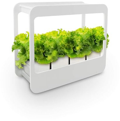 Nutriluce Mini Serra da Interno con Luci LED e Timer, Ideale per Coltivazione Indoor di Piante Aromatiche e Piccoli Ortaggi, Serra Orto Intelligente, Idea Regalo Green