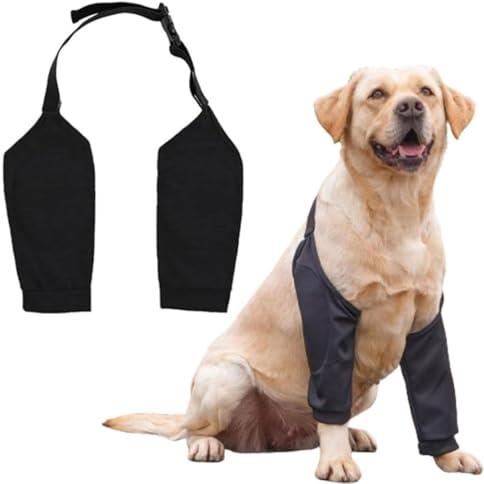 QEDBOJE Coudière pour Chien, Recovery Sleeve, Bandage de Coude, Genouillère Après Une Chirurgie, empêche Le léchage des plaies, Protection Patte (XL pour Chiens de Taille Moyenne et Grande)