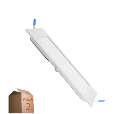 ONSSI Placa LED de Techo 20W (Blanco Frío,6000k) Cuadrada 220x220mm Panel Led Superslim Empotrado (Pack 2)