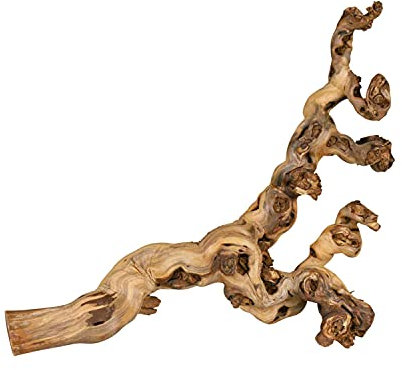 TRIXIE Vigne irradiée d'eau - idéal pour grimper - reptiles, oiseaux, lapins et petits rongeurs - entre 55 et 75 cm - les produits naturels peuvent varier en taille et en forme - 1 pièce - 76171