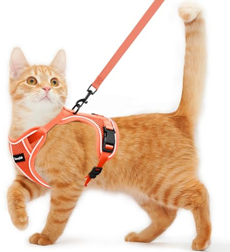 Cat Harness and Leash for Walking Escape Proof Soft Adjustable Cat Leash | Breathable Comfortable Vest Easy to Wear Kitten Harness for Outdoor Travel (Orange, M (13-18lb))