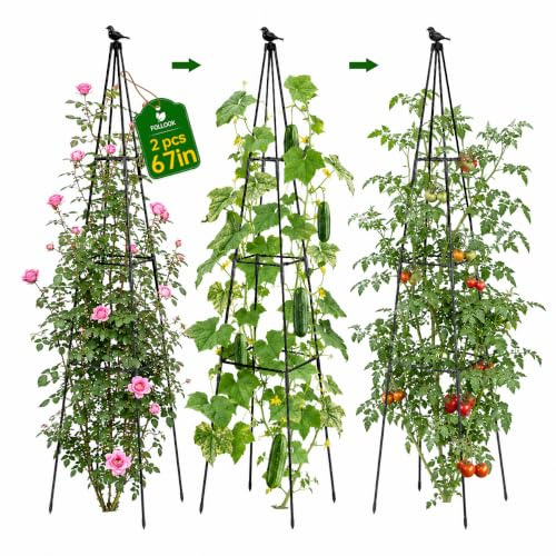 FOLLOOK Cucumber Trellis, 67 Tall Obelisk Garden Trellis for Climbing Plants Outdoor Plastic-Coated Metal Support for Flower Vine Vegetable Tomato Cage Cucumebr Trellis Raised Bed, Black, 2 Pack