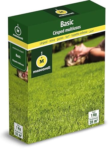 Mascarell Semillas, RUSTIC-BASIC, Semillas de Césped, Verde y Resistente, 1 KG