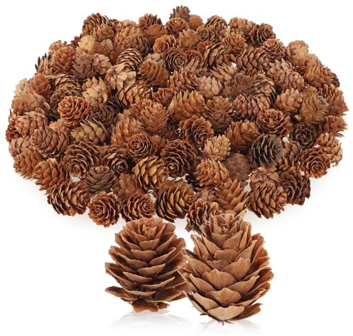 com-four® 200x pigne Decorative di larice - Decorazioni sparse per l'autunno e l'inverno - Decorazioni di Coni - Piccole pigne di larice - pigne (200 pigne di larice Naturale)