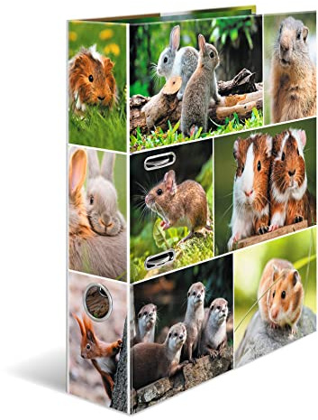 HERMA Lever Arch File Animal Worlds with Rodents Motif, A4, 70 mm Spine, with Inner Print, Pack of 10
