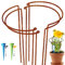 KAZITOO 4 Stück Große 50cm hohe Rostige Bogen-Pflanzenstütze, halbrund Rost-Blumenstütz-Ringkäfig-Rahmen mit 2 selbstbewässernden Spikes, Gartenumrandung für Pfingstrosen, Hortensien(50x27cm)