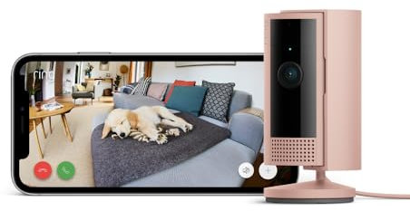 Ring Indoor Camera (2nd Gen) | Plug-In Pet Security Camera | 1080p HD, Two-Way Talk, Wifi, Privacy Cover, DIY | alternative to CCTV system | 30-day free trial of Ring Home