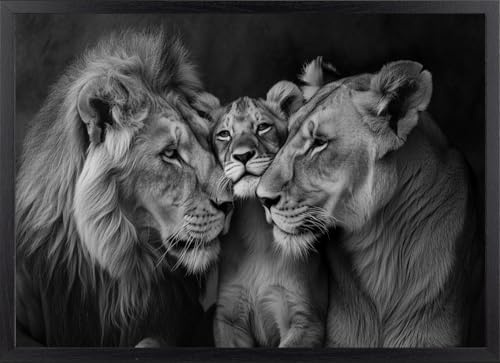 Fine Artic Cuadro Familia de Leones Blanco y Negro - Poster de Animales Salvajes con Marco de madera Negro - Arte mural de Naturaleza decoración Moderna de Salón - Cuadros de Cachorros de León