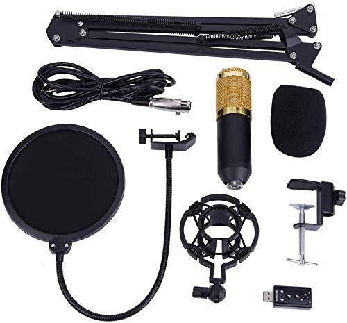 Profi Studio Kondensator Mikrofon Set, Micro mit Arm Ständer Filter Foam Kit USB Adapter Mikrofon Set für Studioaufnahme Broadcast YouTube Live Stream Neue BM800 Version