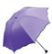 Parapluie Pliant Femme Anti-UV Dentelle Parapluies Ombrelle Parasol Umbrella Venteux Pluie en été (M-Violet)