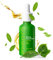 Pomélo+Co. Kopfhautserum mit Bergamotten-, Salbei- und Rosmarin-Öl als Wellness-Behandlung für die Kopfhaut/Hair Oil, Haar Öl, Scalp Serum, Haarpflege für feines Haar/Matcha Herbal Tonic 30ml