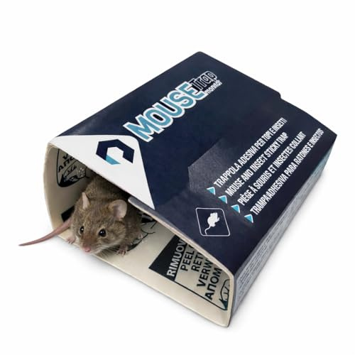 10 uds Trampas para Ratones - Pegamento Ratones - Trampa Rata - Mouse Trap